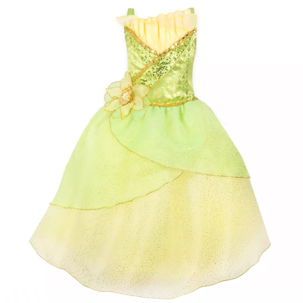 Princess Tiana Costume Dress NWOT